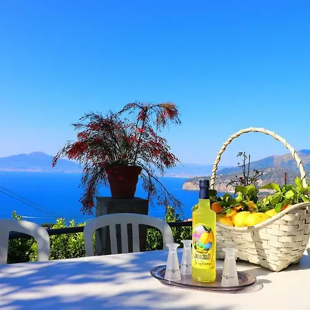 La Rosa Del Sud - De Vivo Realty Appartement Sorrente