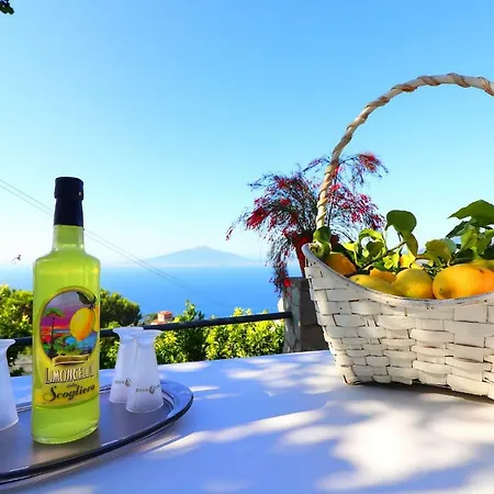 De Vivo Realty - La Rosa Del Sud Sorrento Сорренто